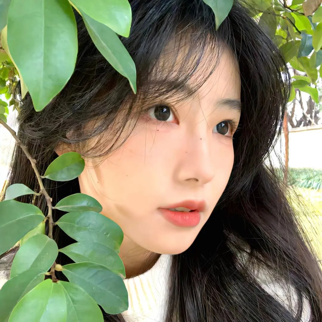 天堂三部曲之爱