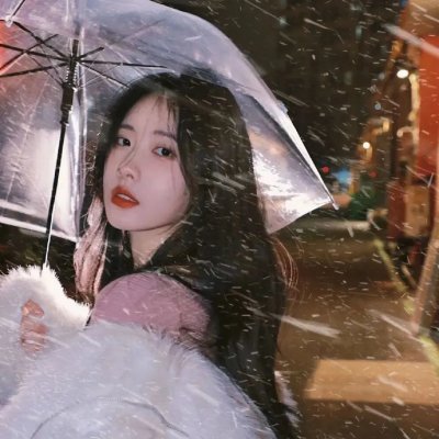 萌犬好声音2